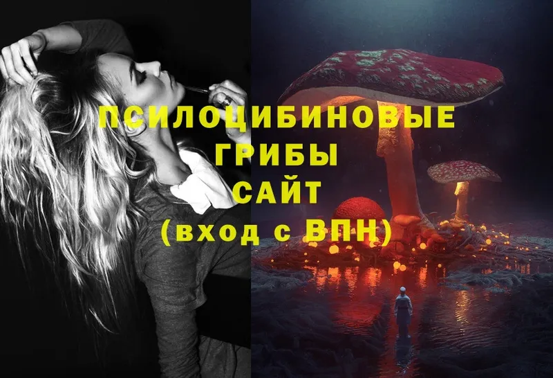 Псилоцибиновые грибы Cubensis  Армянск 